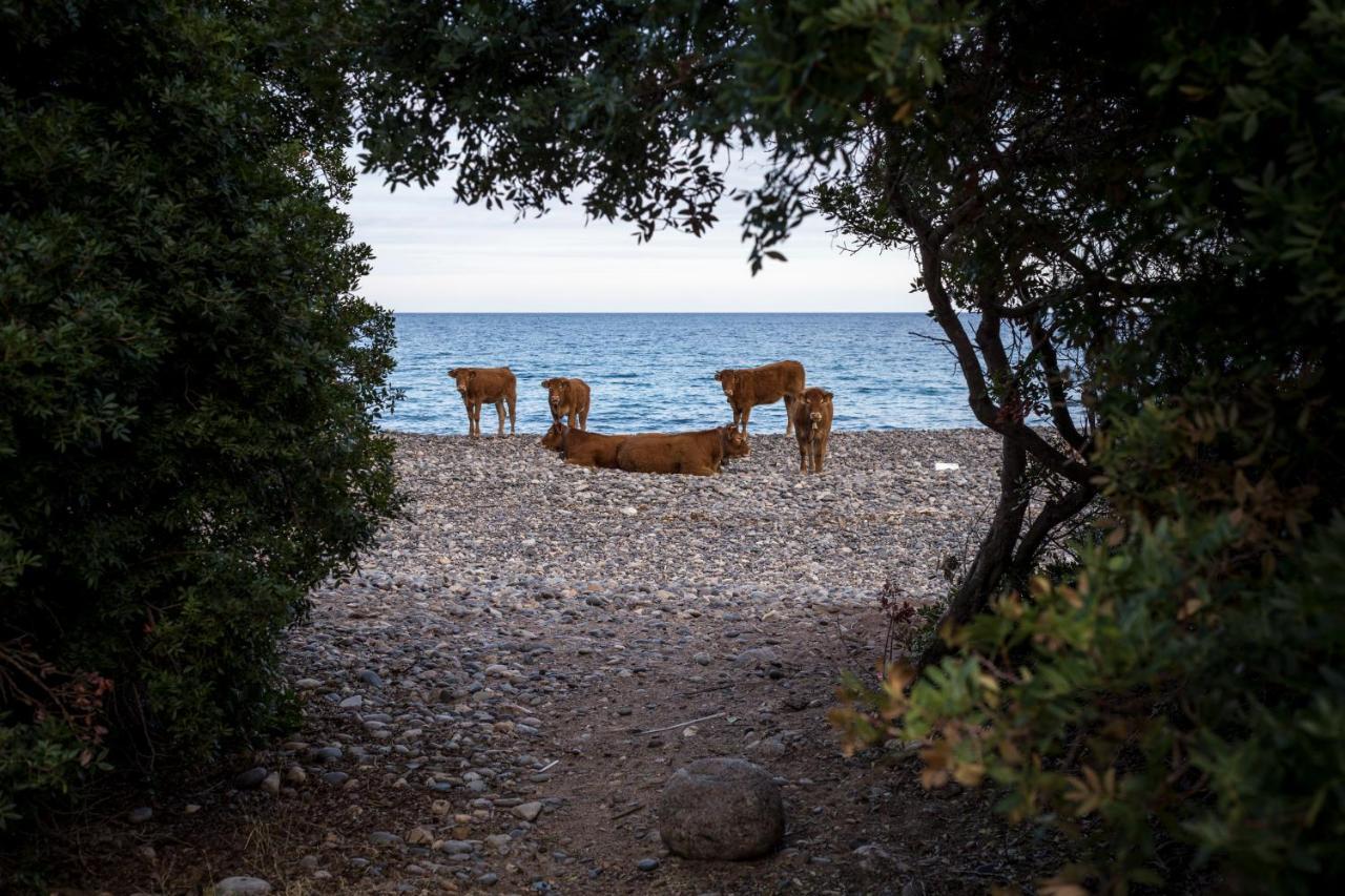New Camping Coccorrocci Marina di Gairo Extérieur photo